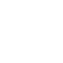 Expert Team